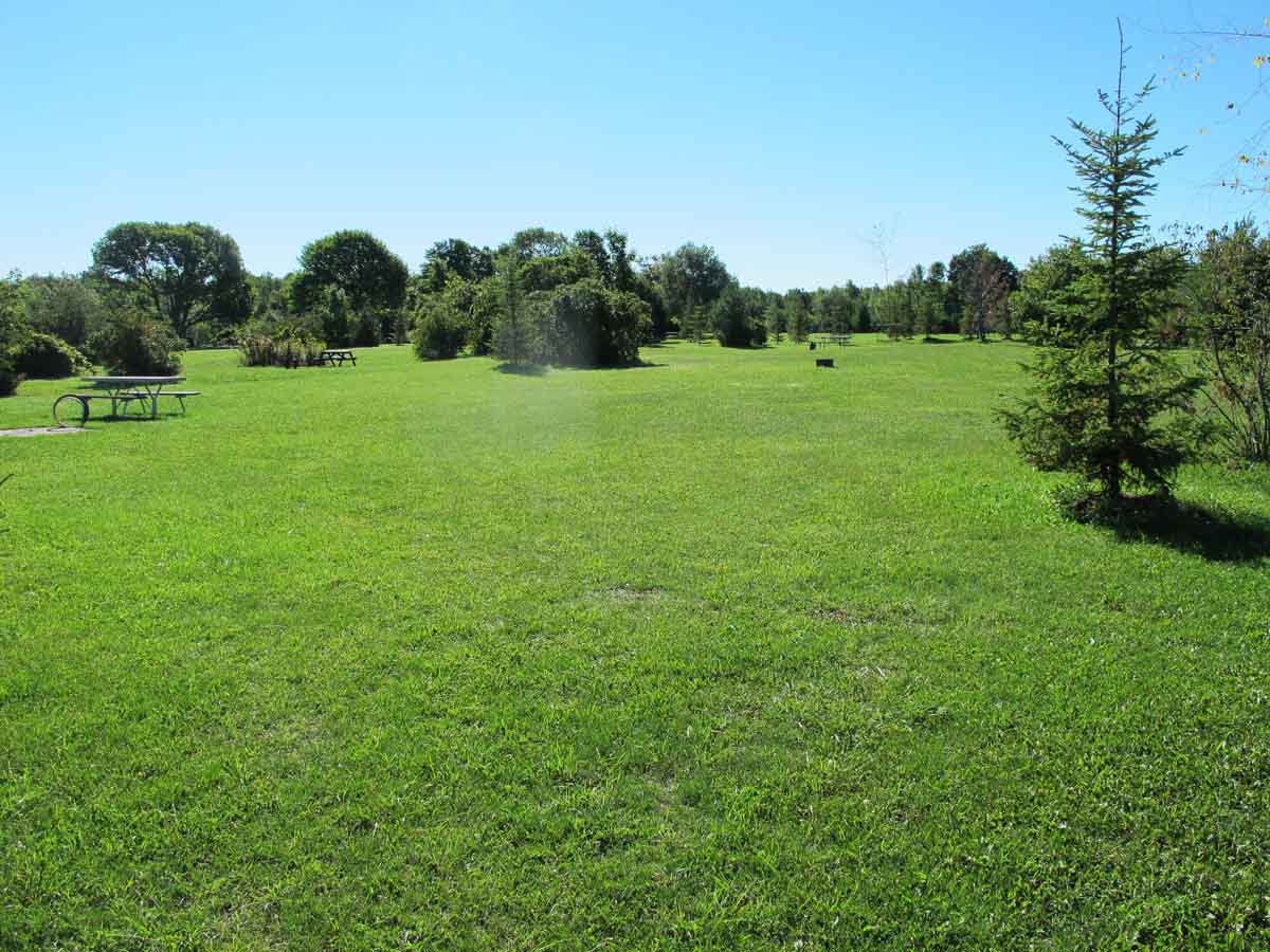 Gallery White Sands Campground
